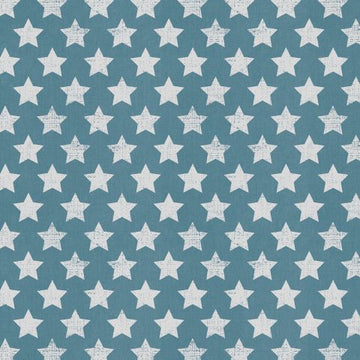 Gift Wrap Canvas Stars