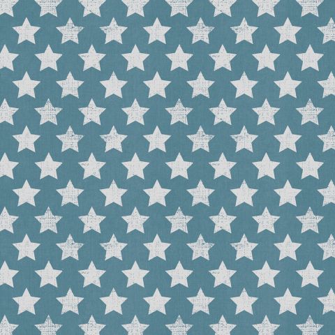 Gift Wrap Canvas Stars