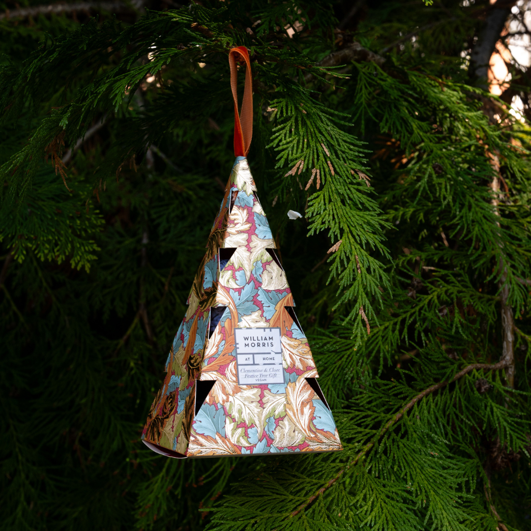 Oak & Willow Festive Tree Gift