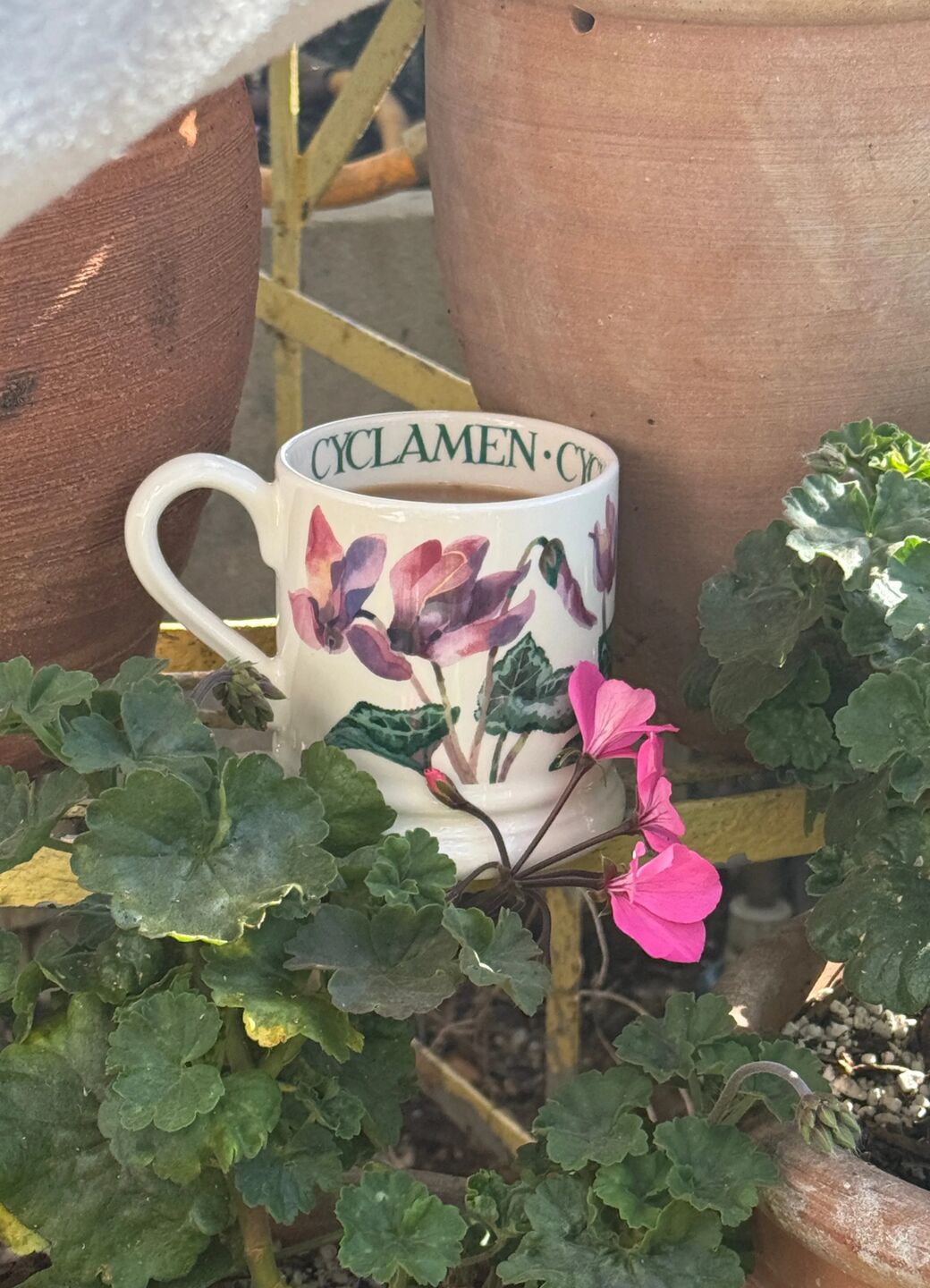 Cyclamen 1/2 Pint Mug