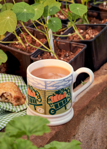 Country Icons Pumpkin Picking 1/2 Pint Mug