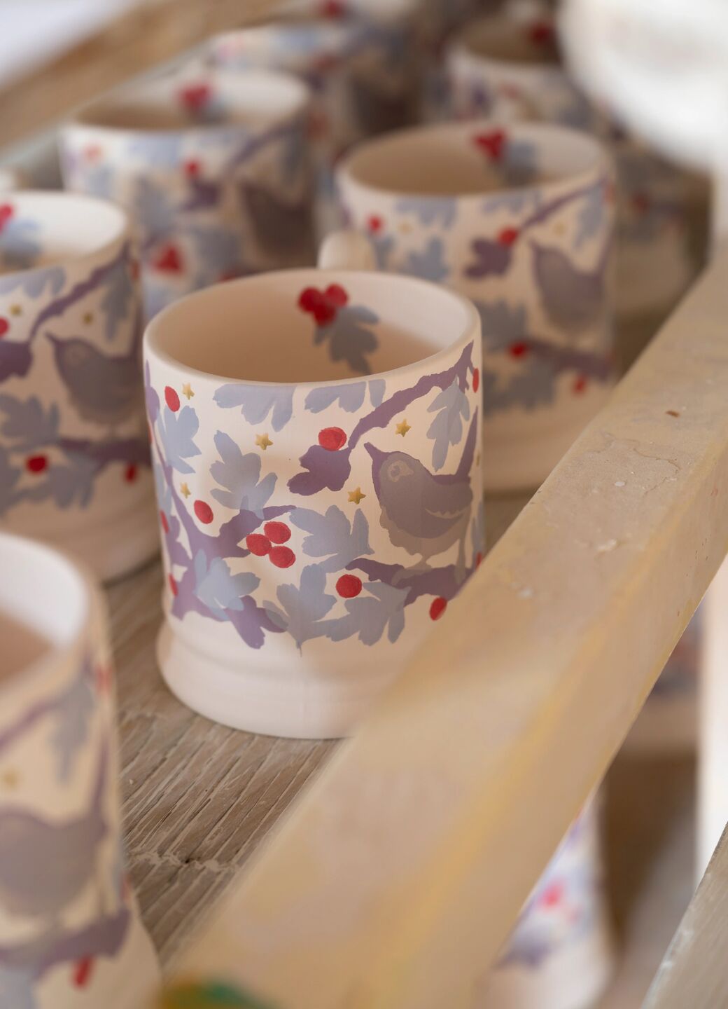 Dawn Chorus Wren 1/2 Pint Mug