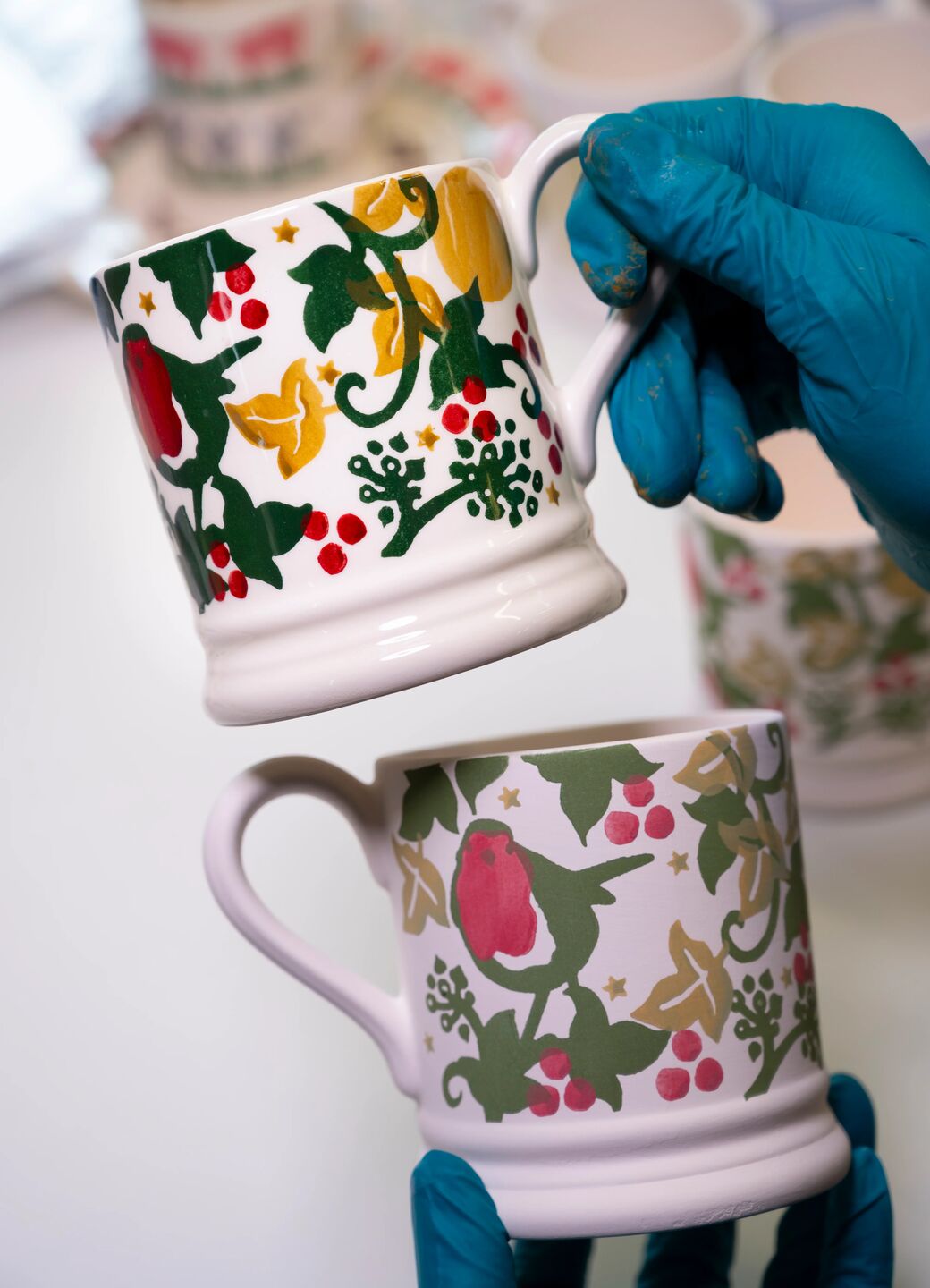 Dawn Chorus Robin 1/2 Pint Mug