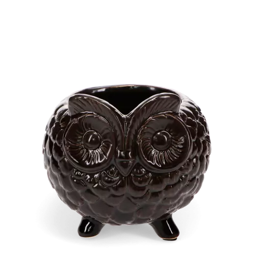 Owl plant pot