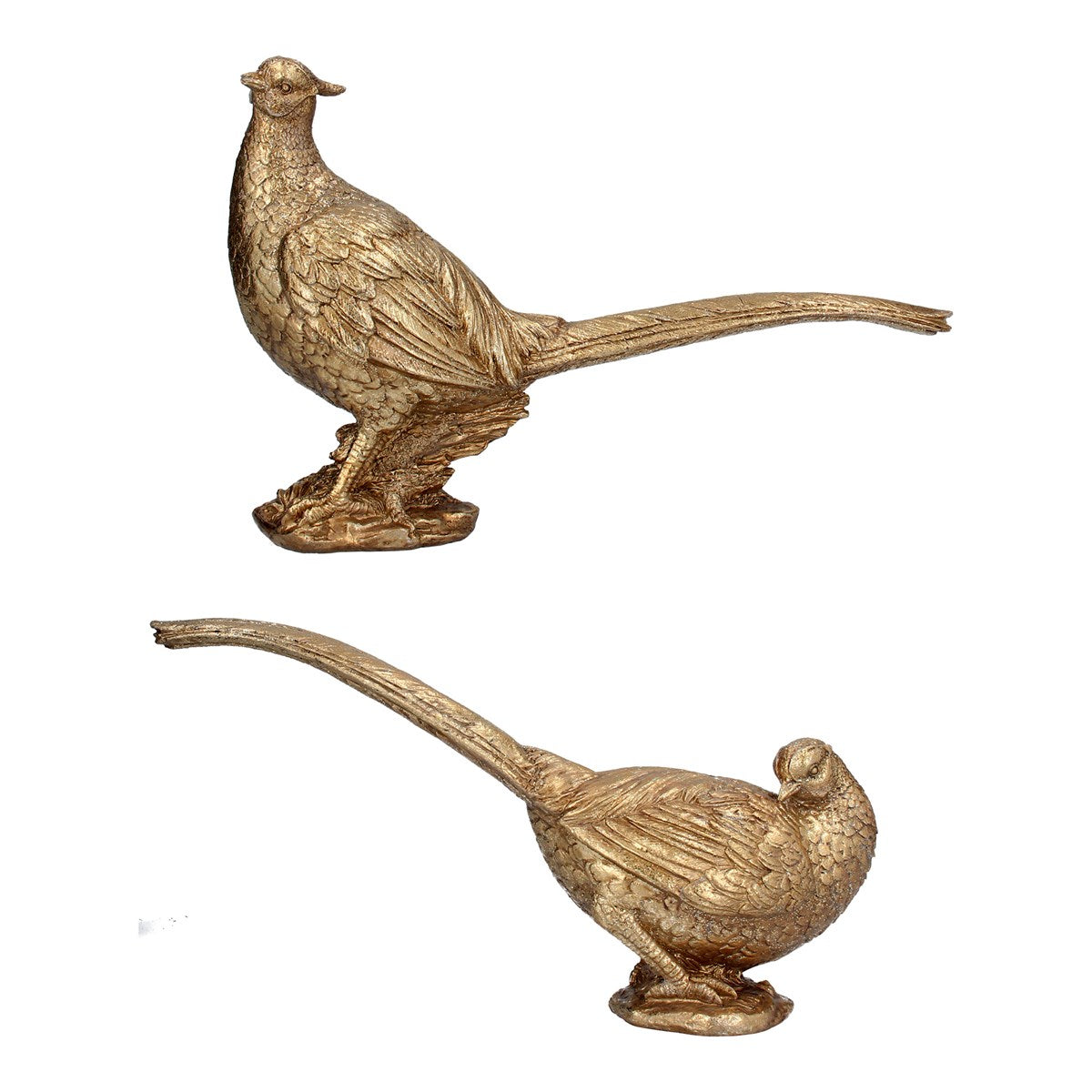 Gold Resin Pheasant Orn/Astd