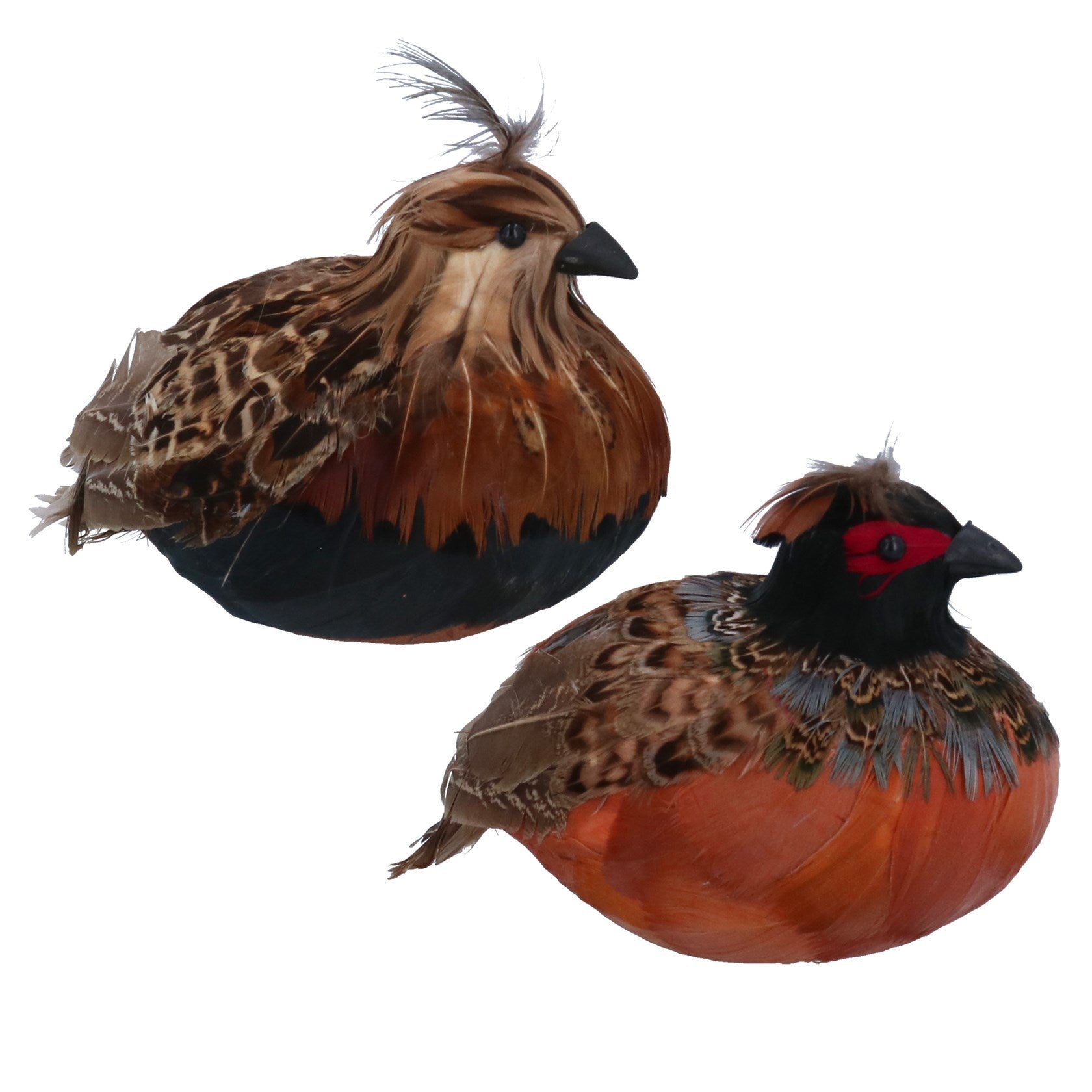 Feather Sitting Partridge Orn/Astd