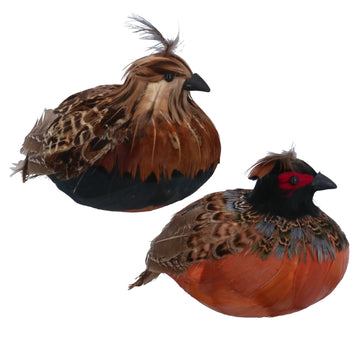 Feather Sitting Partridge Orn/Astd