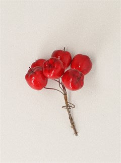 Shiny Red Apple Pick Bunch