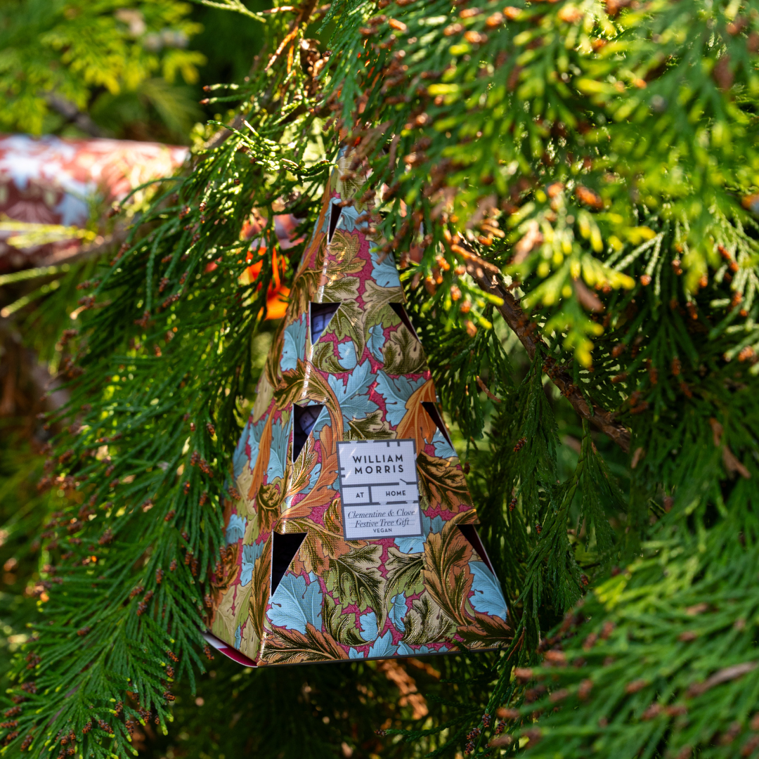 Oak & Willow Festive Tree Gift