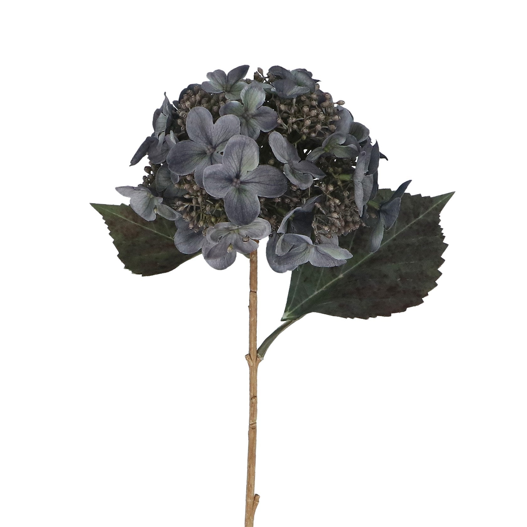 Flower 52cm – Blue Lacecap Hydrangea