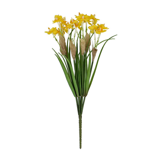 Yellow Narcissus Bunch