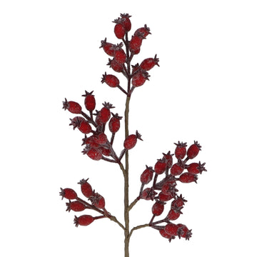 Red Rosehip Stem (68cm)