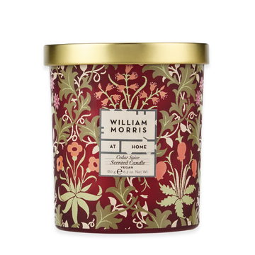 Oak & Willow Cedar Spice Scented Candle