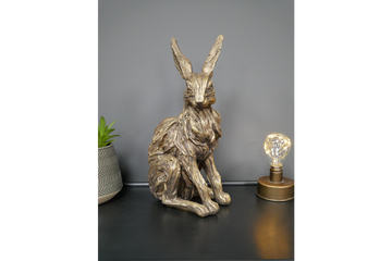 Hare