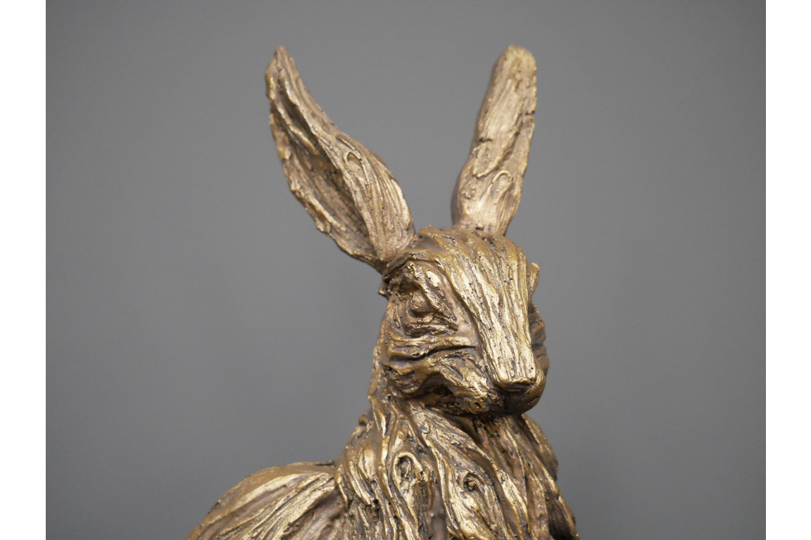 Hare