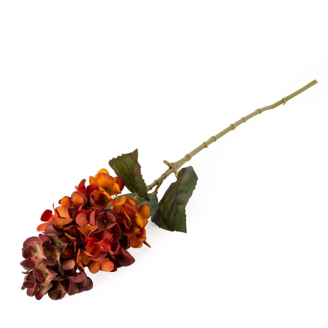 75cm Hydrangea - Burnt Orange - RUTHERFORD & Co