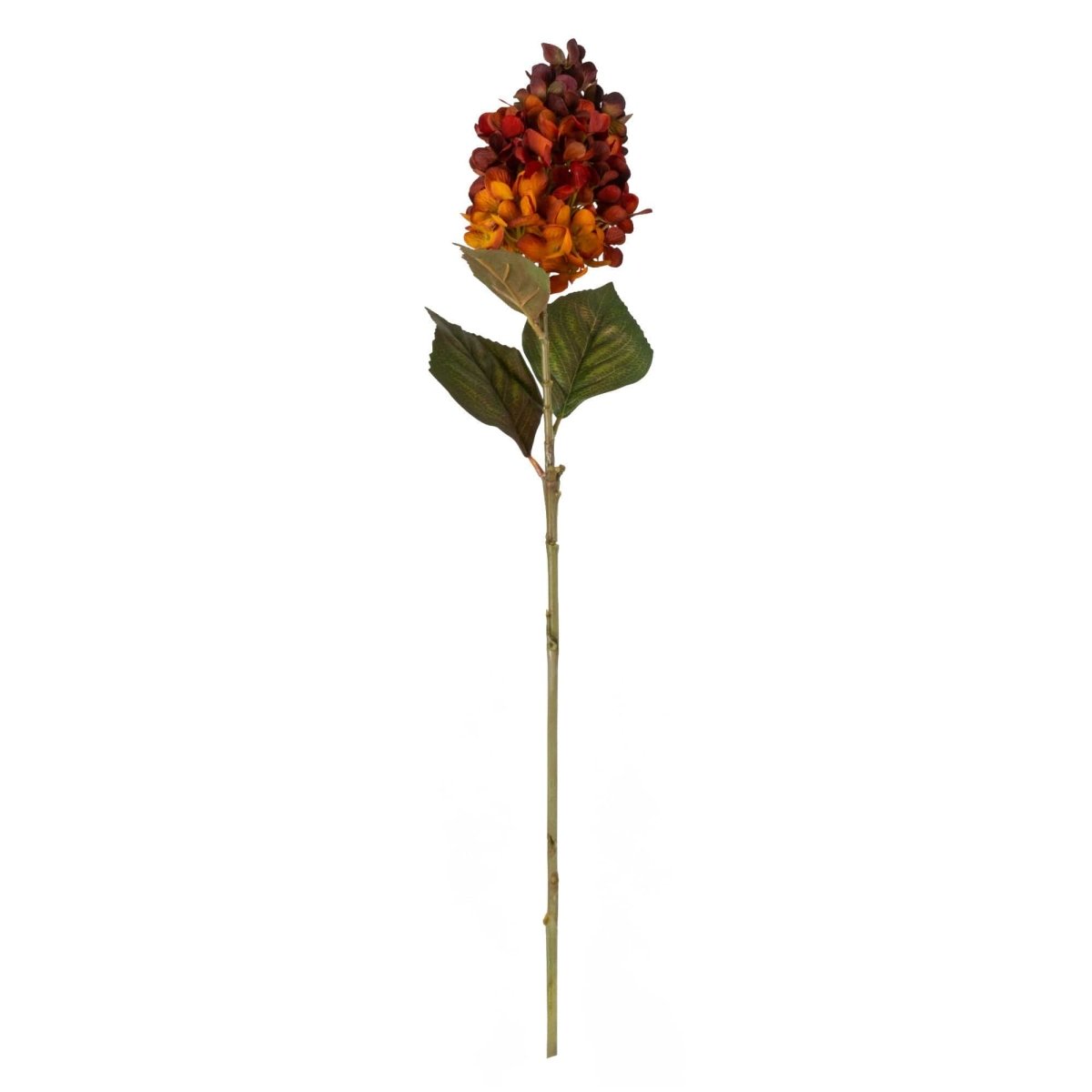 75cm Hydrangea - Burnt Orange - RUTHERFORD & Co