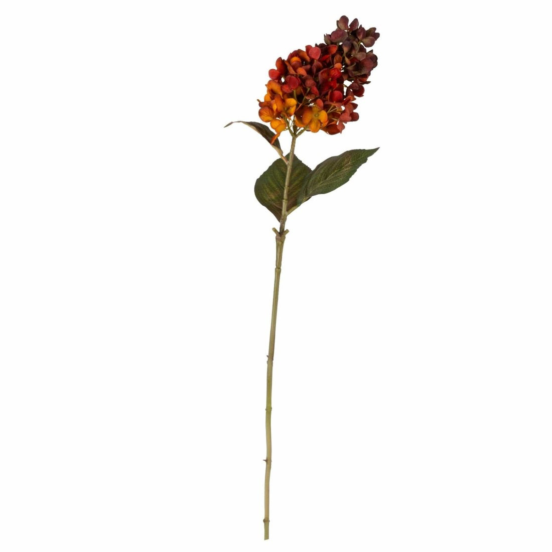 75cm Hydrangea - Burnt Orange - RUTHERFORD & Co