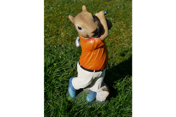 Squirrel Golfer