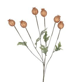 Copper Poppy Head Spray (72cm)