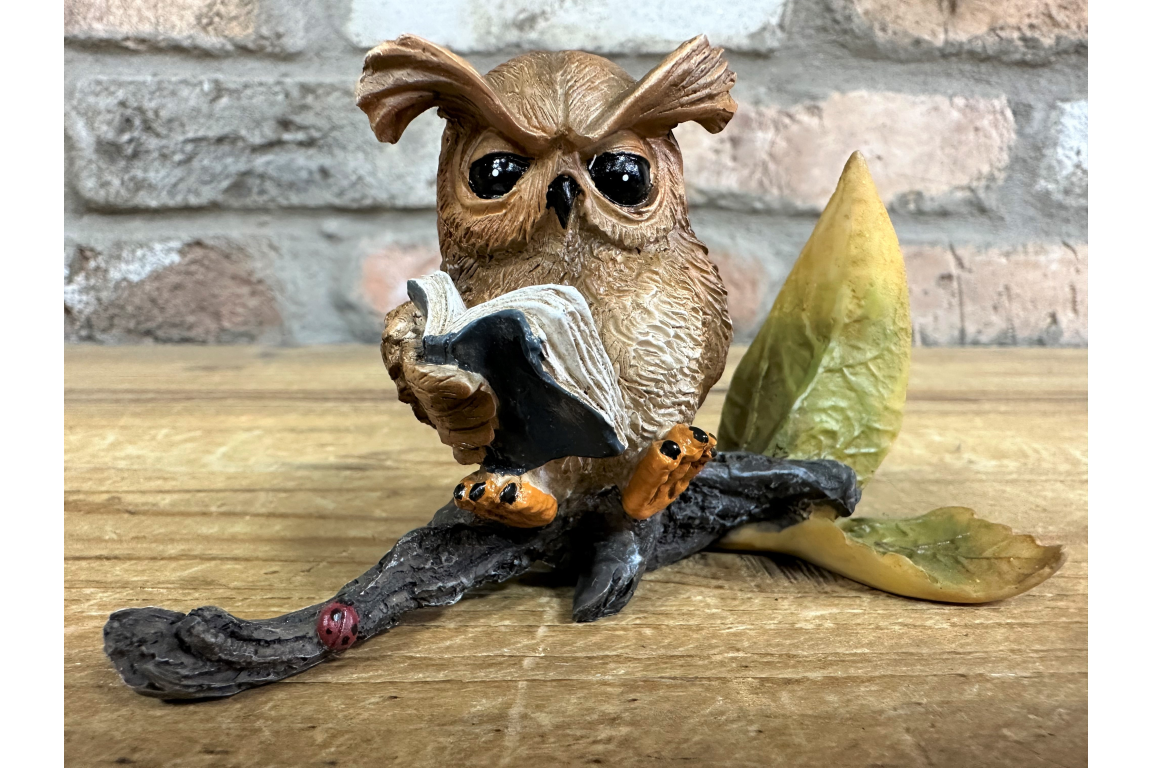 Owl Reading