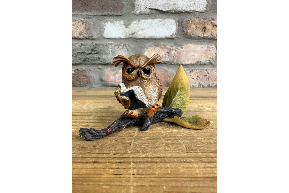 Owl Reading
