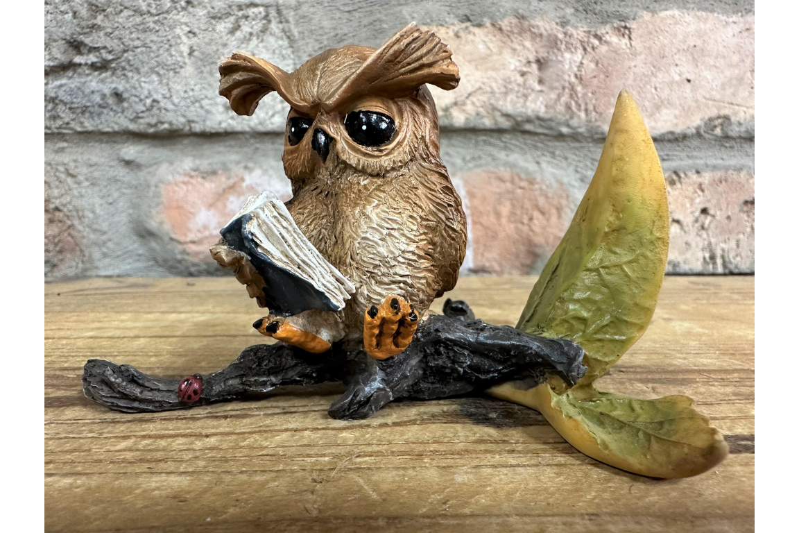 Owl Reading