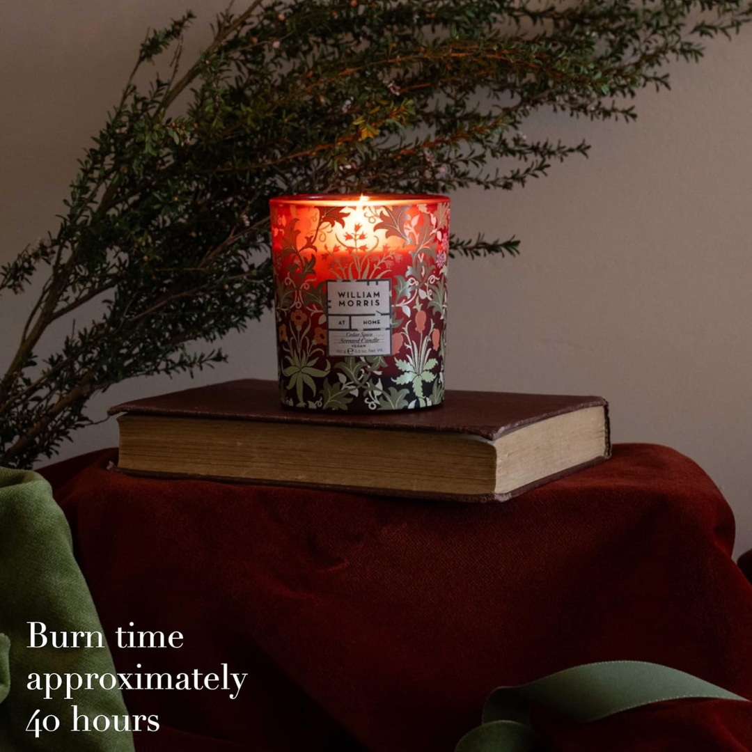 Oak & Willow Cedar Spice Scented Candle