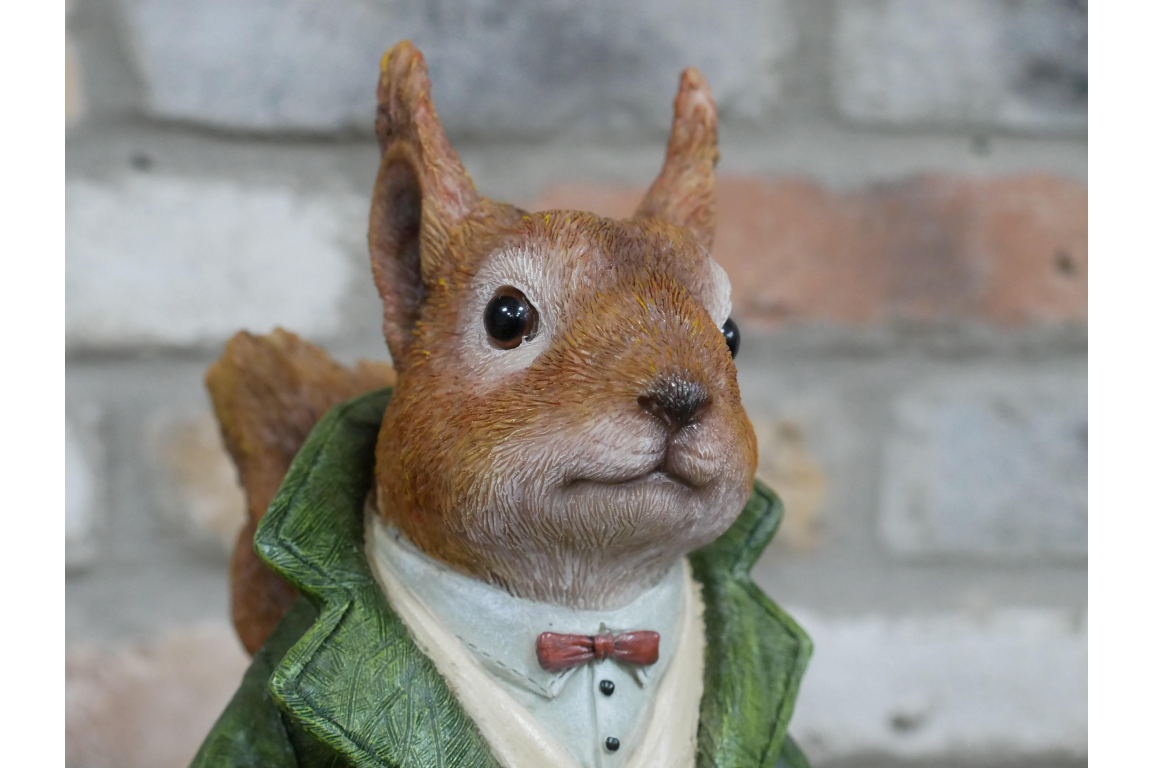 Mr Squirrel