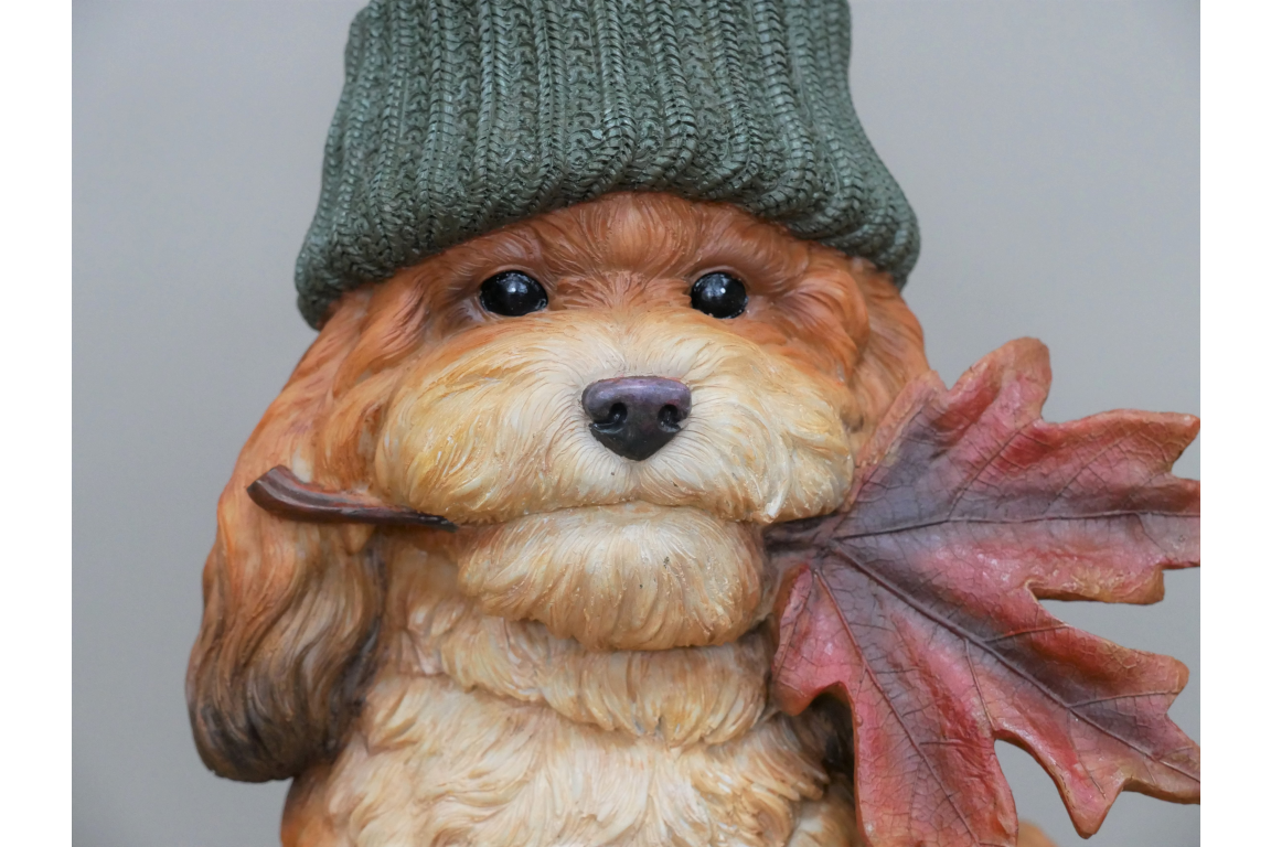 Autumn Dog