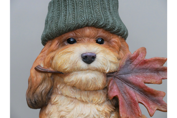 Autumn Dog