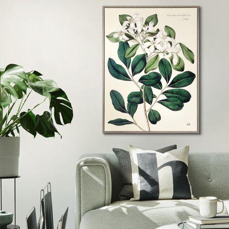 Foliage and Blooms - RUTHERFORD & Co