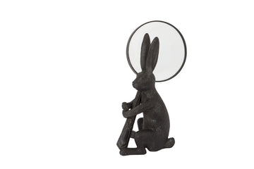 Rabbit Magnifying Glass