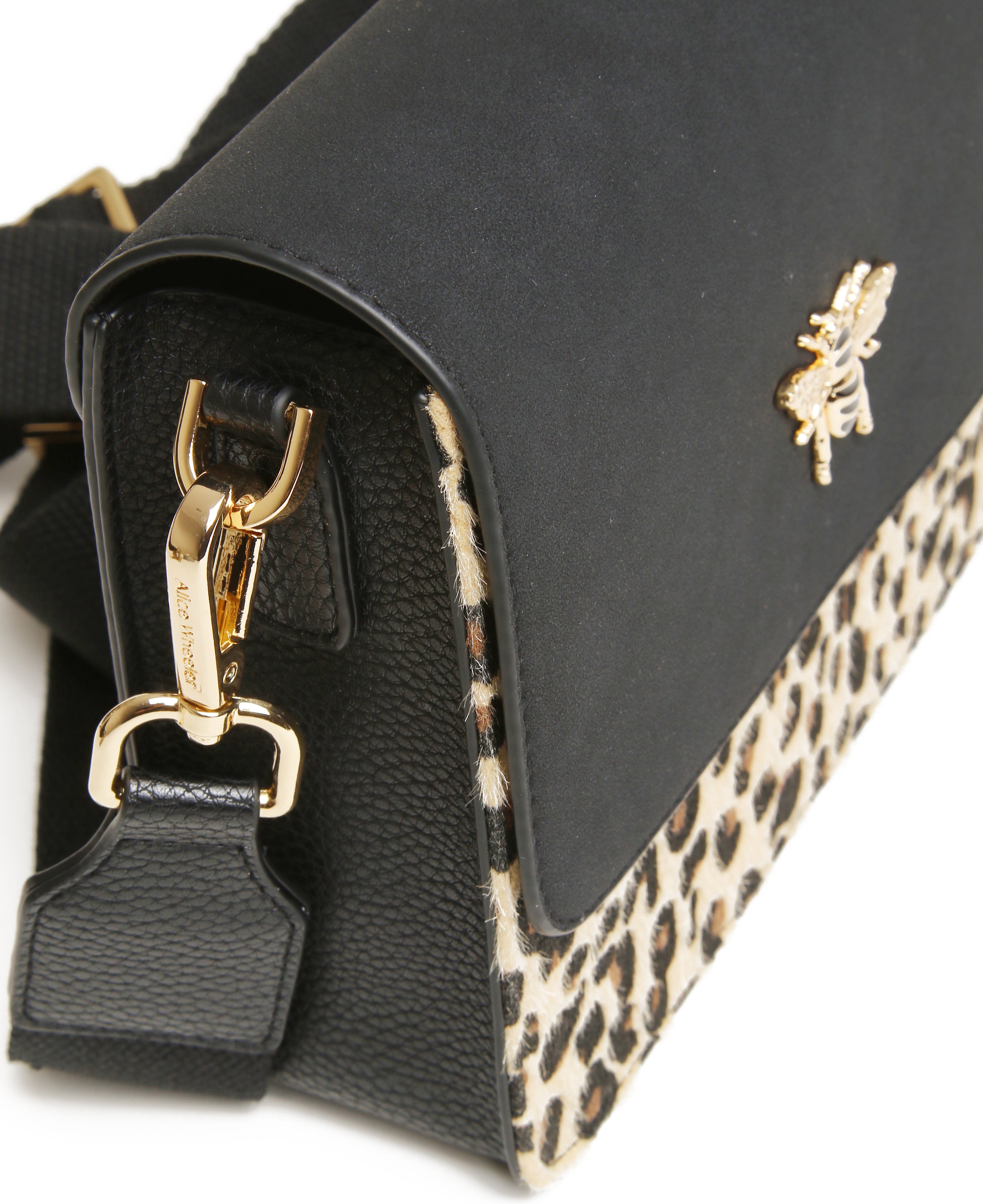 Leopard - Highbury CBB
