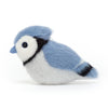 Birdling Blue Jay