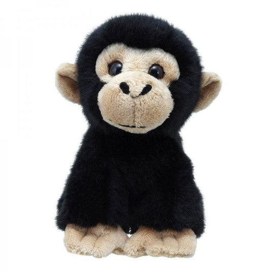 Chimpanzee - Wilberry Minis - RUTHERFORD & Co