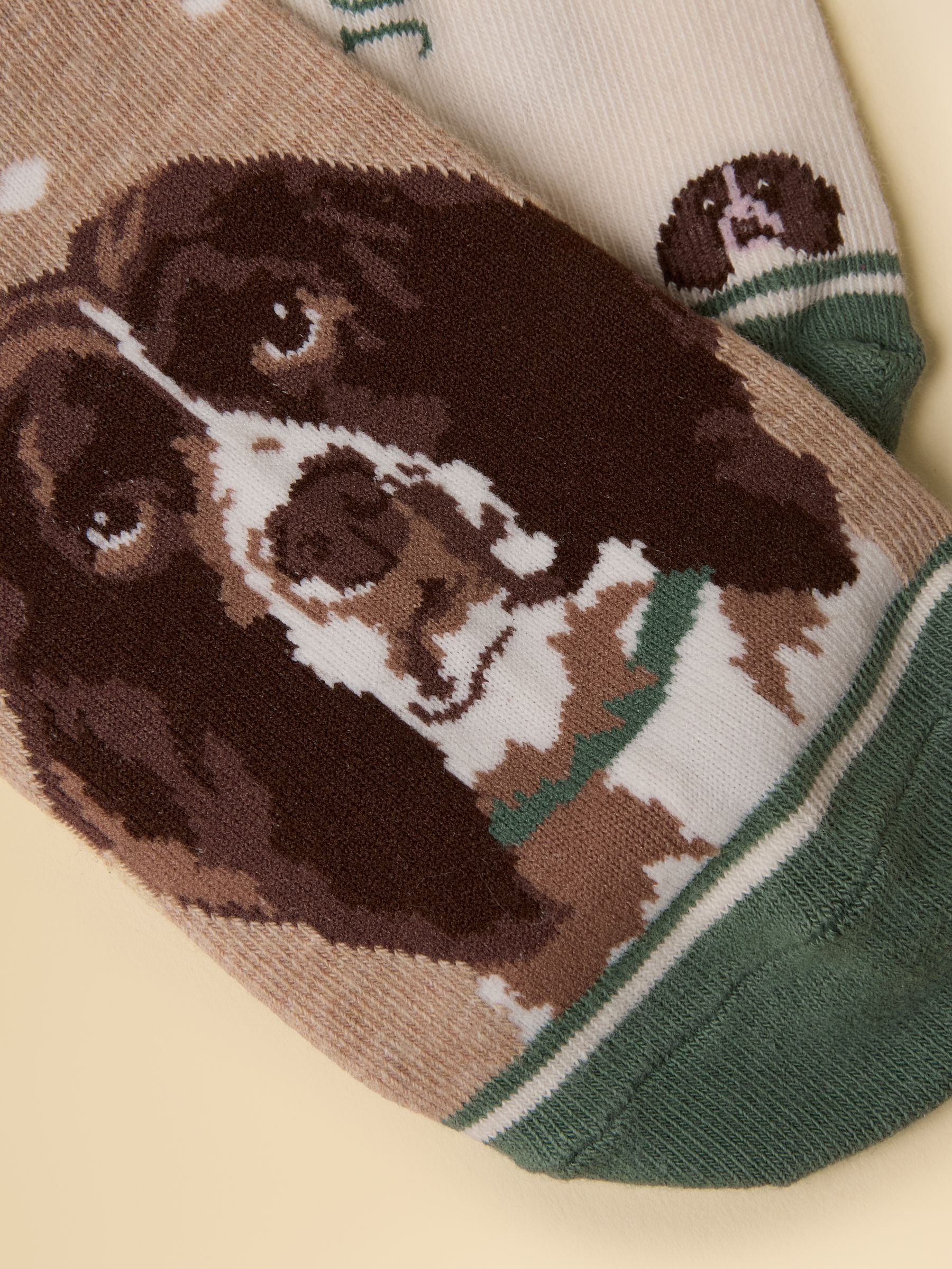 Women's Everyday Neutral Spaniel Cotton Blend Socks 2 Pack