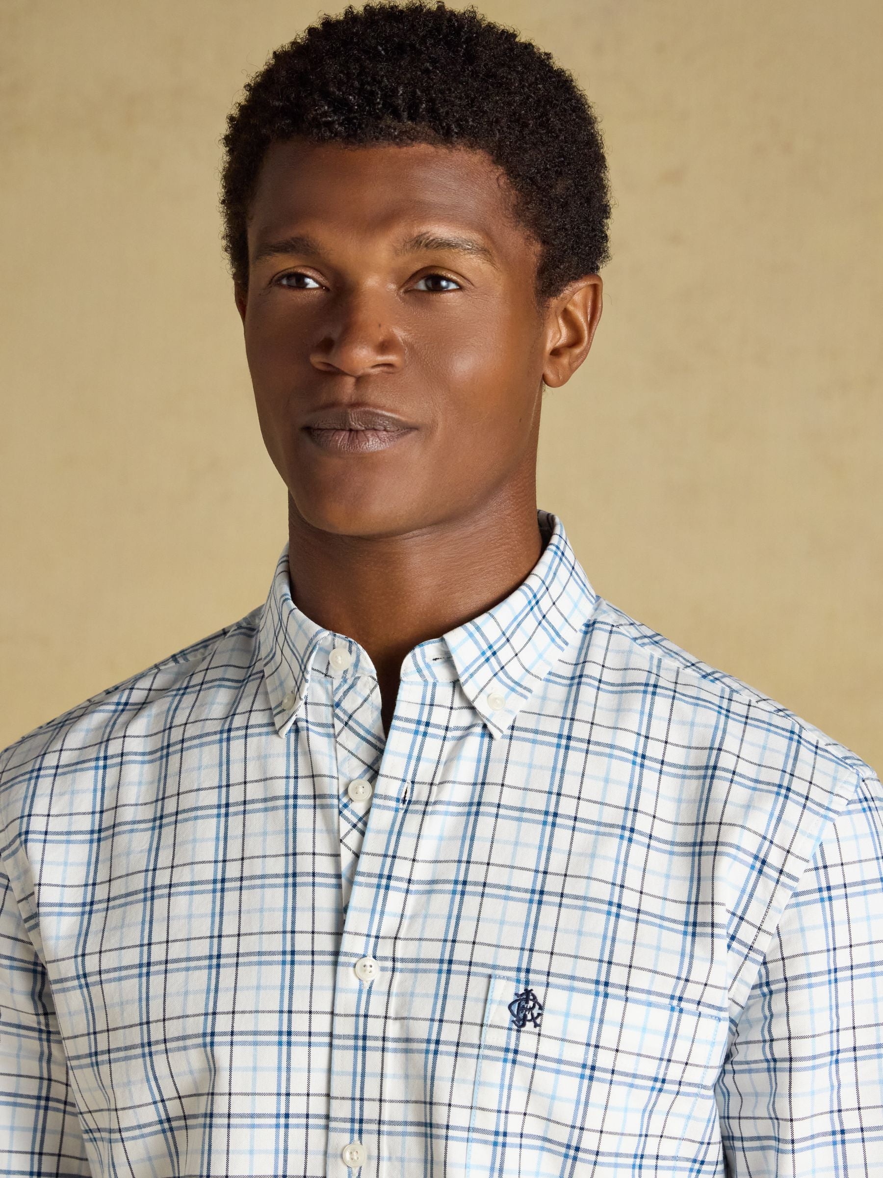White & Blue Checked Classic Fit Cotton Oxford Shirt