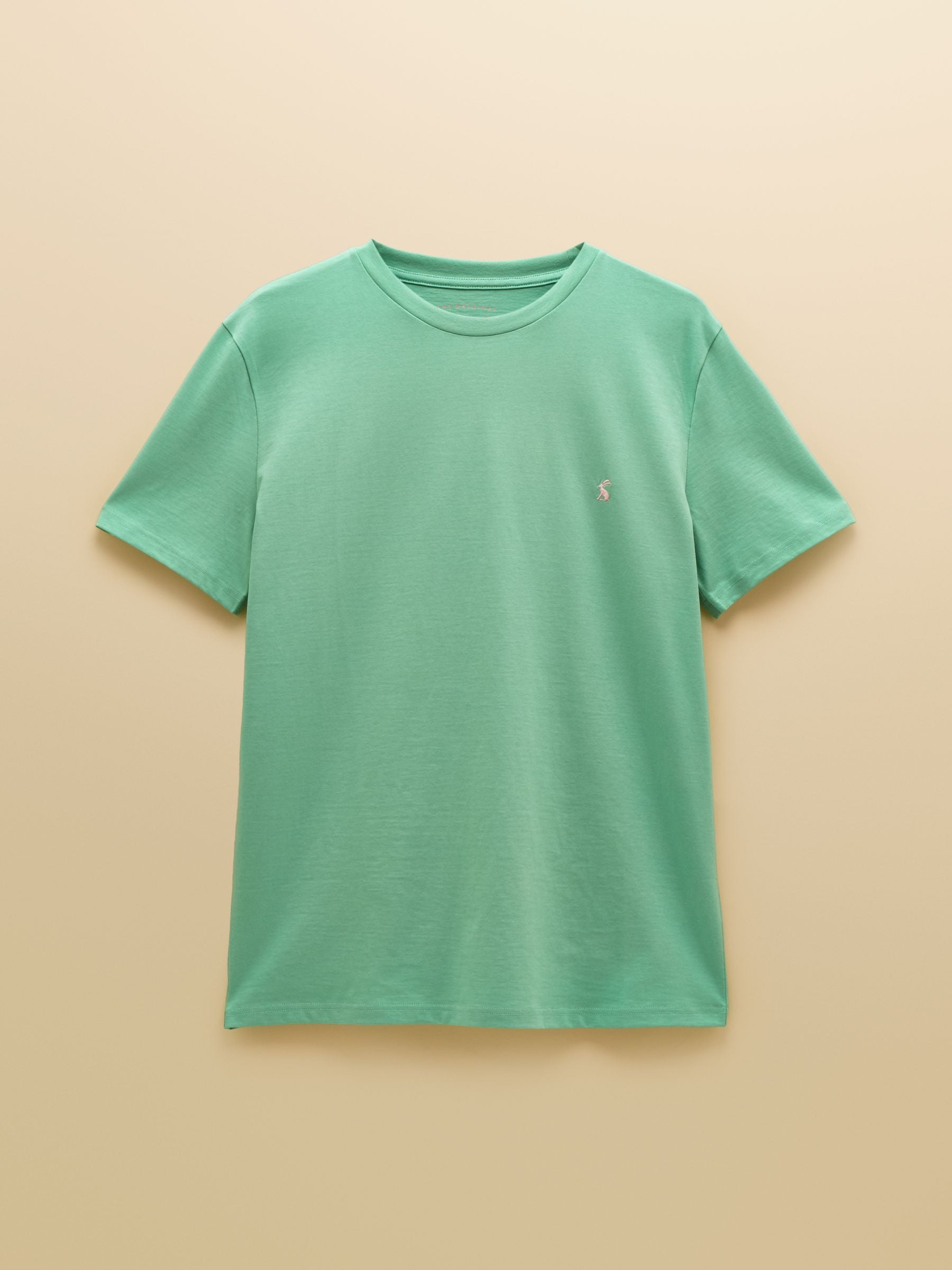 Everyday Light Green Classic Fit Cotton T-Shirt