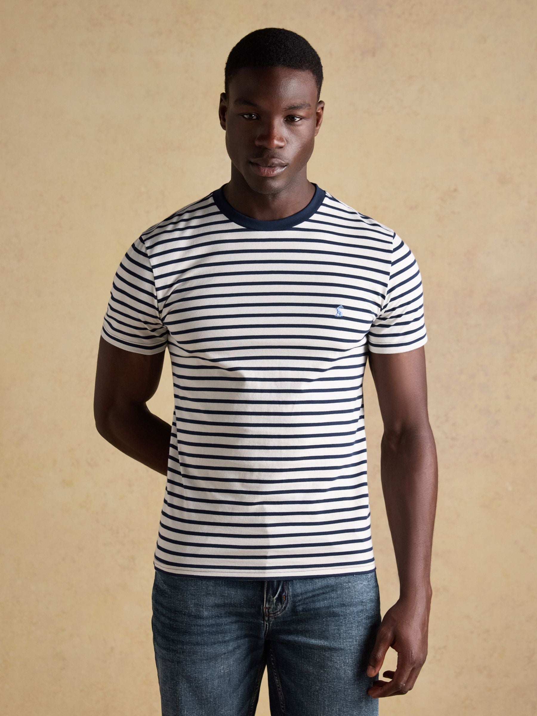 Everyday Navy & White Stripe Classic Fit Cotton T-Shirt