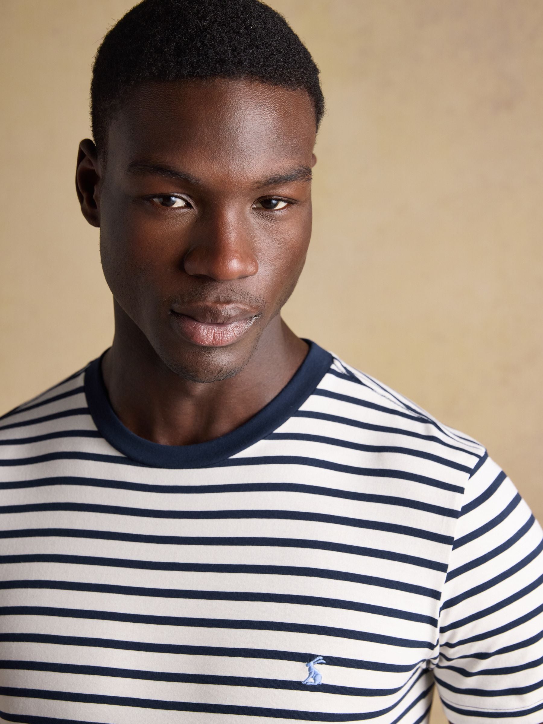 Everyday Navy & White Stripe Classic Fit Cotton T-Shirt