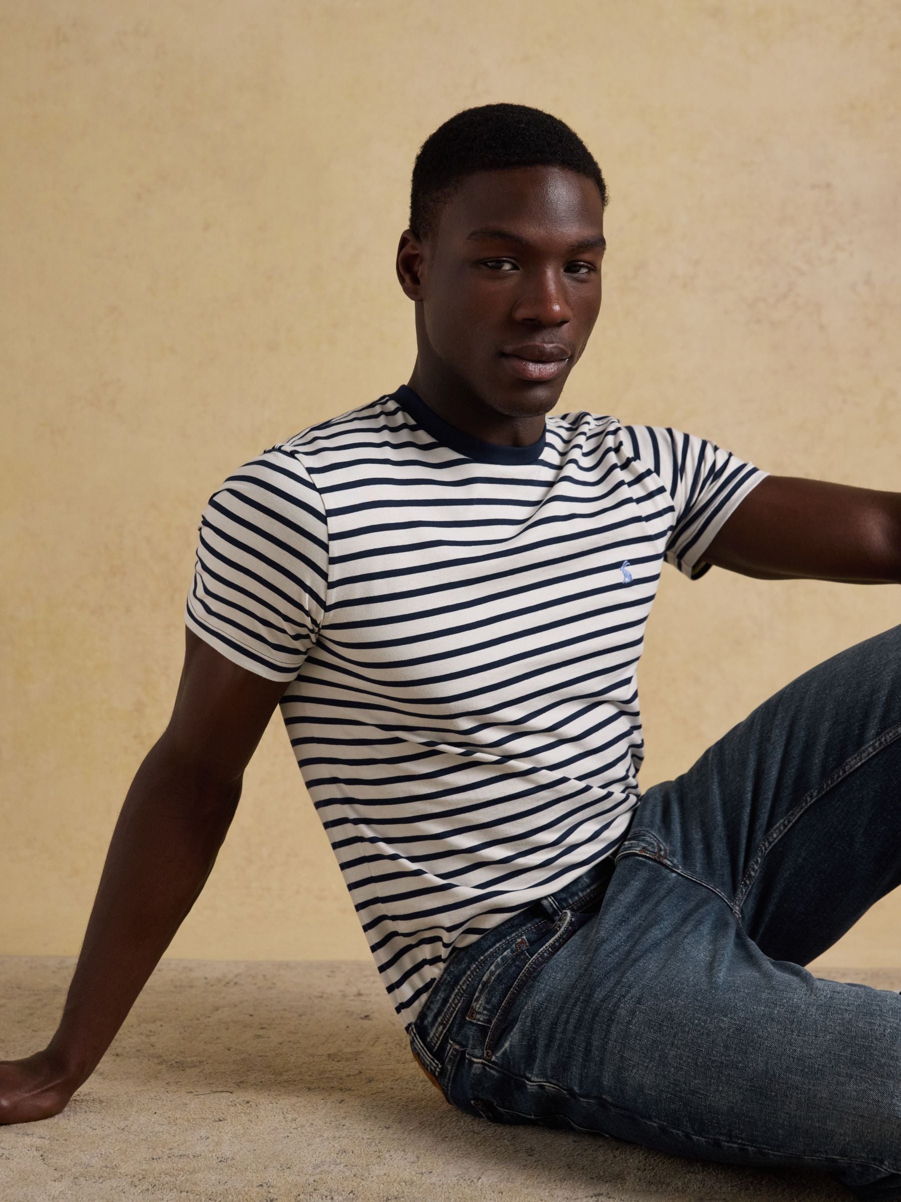 Everyday Navy & White Stripe Classic Fit Cotton T-Shirt