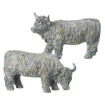 Stone Coloured Highland Cow