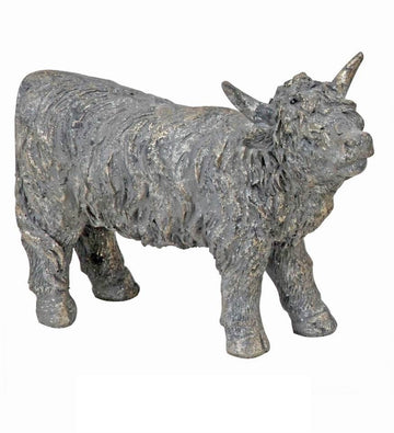 STONE COLOURED HIGHLAND COW