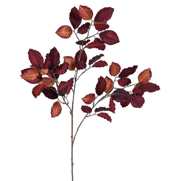 Velvet Copper Beech Stem