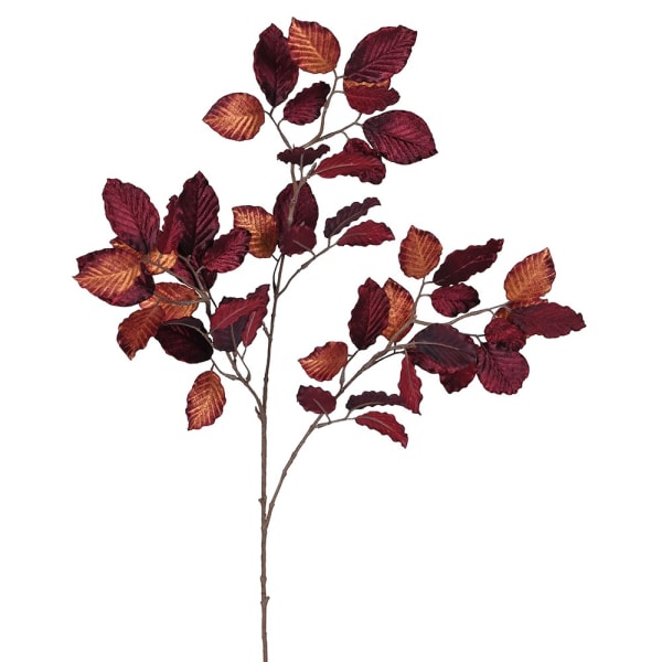 Velvet Copper Beech Stem