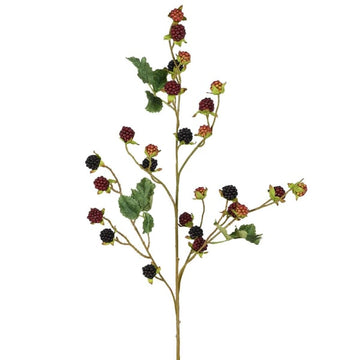 Blackberry Stem