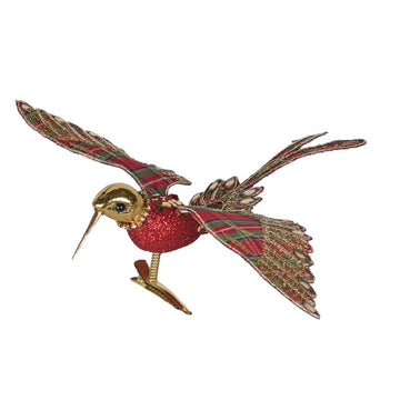 Tartan Hummingbird