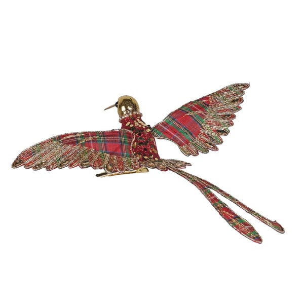 Tartan Hummingbird