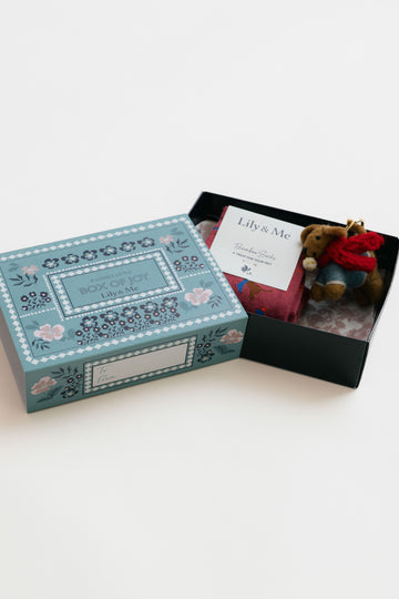 Windy Day Dogs Socks And Dog Keyring Giftbox